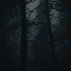 Looking For Something