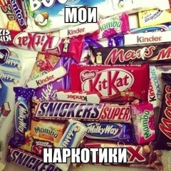 xdxd poroflit