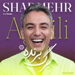 شادمهرعقیلی - برگ برنده| Shadmehr Aghili - Barge Barandeh (آهنگ جدید)