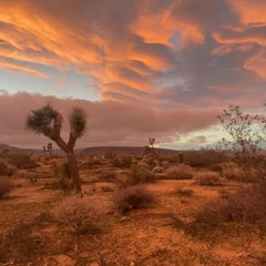 House & Techno 3.9.24