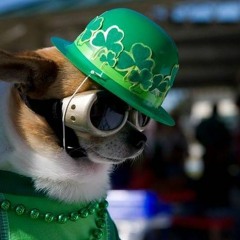 Barcode Brothers - Flute (JSL Remix)