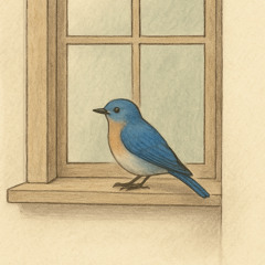 L'oiseau bleuté