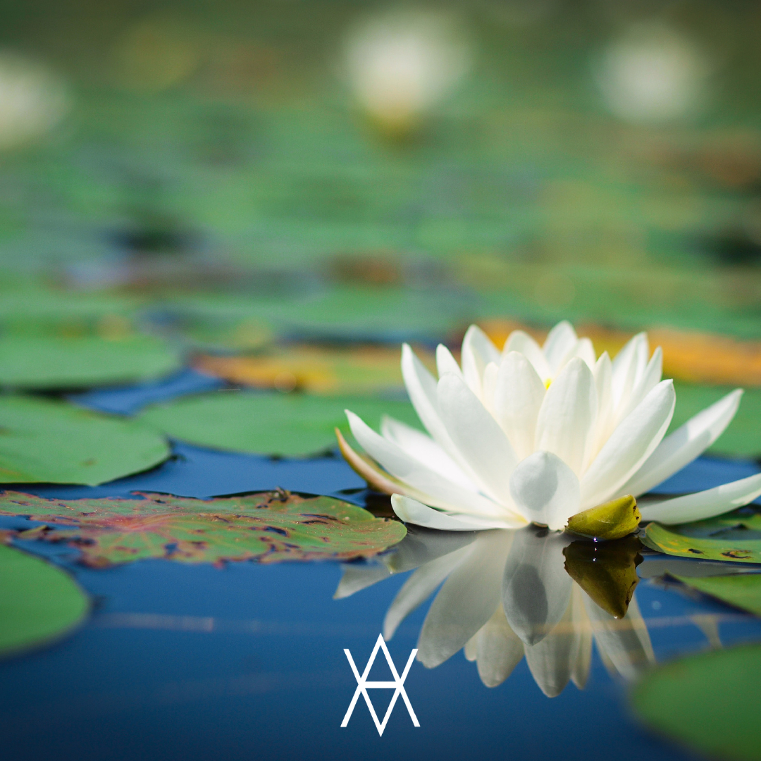 Accessible Astrology with Psychotherapist + Astrologer Eugenia Krok, MA