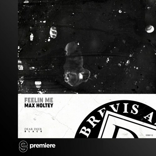 Premiere:  Max Holtey - Run And Hide - Dear Deer Music