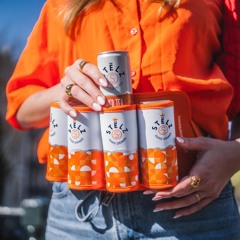 Stelz Koningsdag mixtape