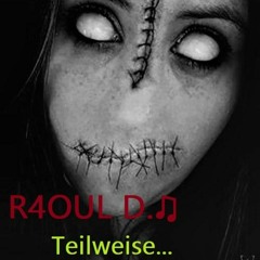 R4OUL D.♫ - Teilweise...