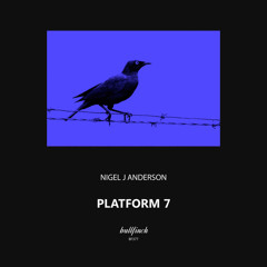 Nigel J Anderson - Impact [Bullfinch]
