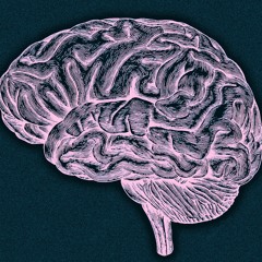 nothing on my mind (Prod. Gxm)