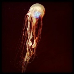 DJ Hypnoid - Rush Hour Mix (Tribute to DJ Rush)