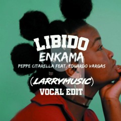 LIBIDO ENKAMA - (LARRYMUSIC VOCAL EDIT) Peppe Citarella Feat Eduardo Vargas