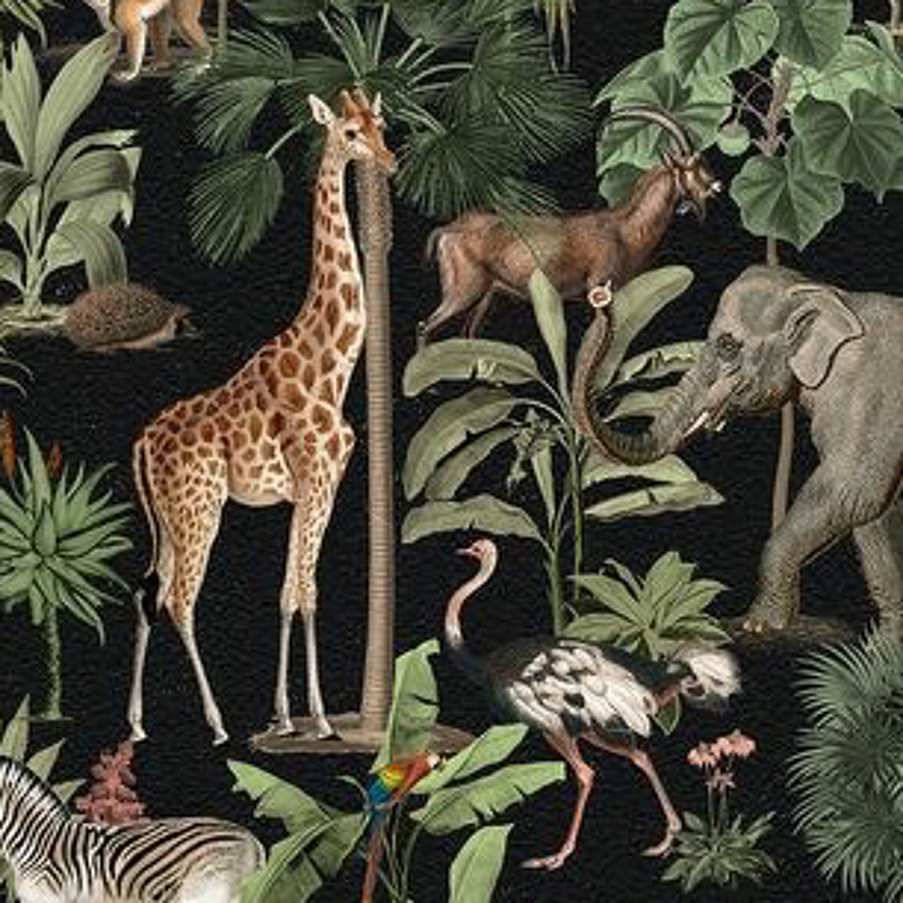 Jungle rave episode artwork
