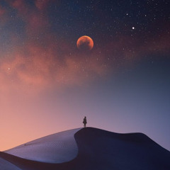 Inside Trip - [Progressive Organic House & Downtempo]