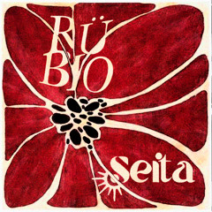 RÜBIO & SEITA - MELODIC AFRO HOUSE MIDNIGHT MIX  - ECHONOMIST, WHOMADEWHO, LUCH, ARODES- SESSION 4