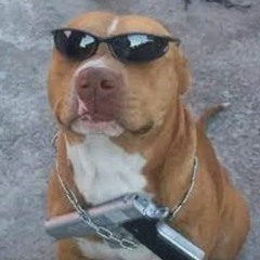 so ritmada do gueguel