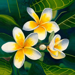 Nauruan Song