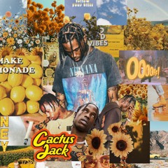 'cactus jack' (travis scott type beat)