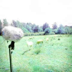 GL_04_mixtape w/ Sara Pinheiro