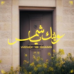 وينك يا شمس؟!