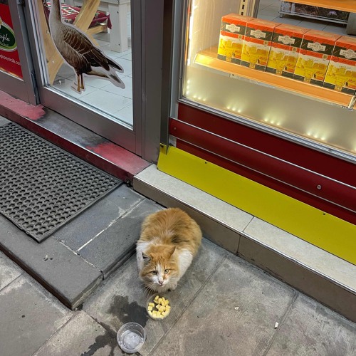 trippin / connecting