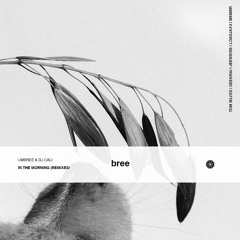 Umbree & DJ Cali - In The Morning (Loadjaxx Remix)