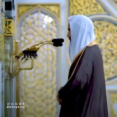 سورة الزمر كاملة | الشيخ أحمد بن طالب - أَمَّنۡ هُوَ قَـانِتٌ ءَانَاۤءَ ٱلَّیۡلِ سَاجِدࣰا وَقَاۤئماً