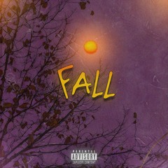 Fall ( prod by Nobel Beat )