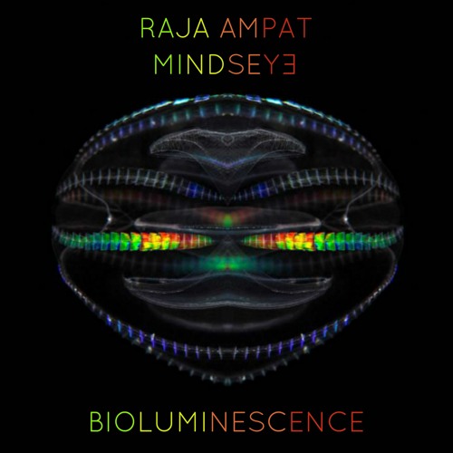 Mindseye & Raja Ampat - Bioluminescence