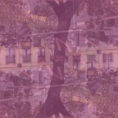 Live @ Fete de la Musique