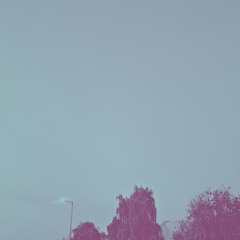 Letting Go