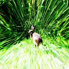 springishere
