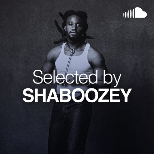 Selected By: Shaboozey
