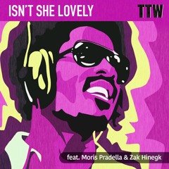Isn't She Lovely (feat. Moris Pradella & Zak Hinegk)