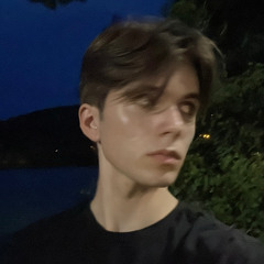 I Have Questions - Camila Cabello (Cover by maX)