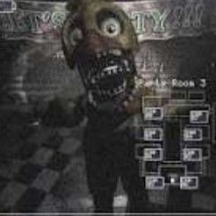 camera demo