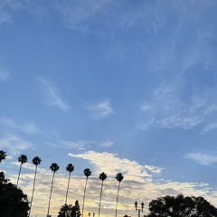 CHIMMI(취미)- “I don't want no champagne”