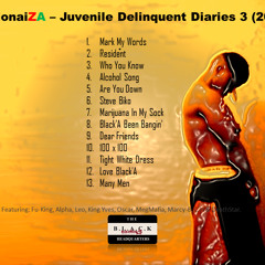 Juvenile Delinquent Diaries 3 (20/21)