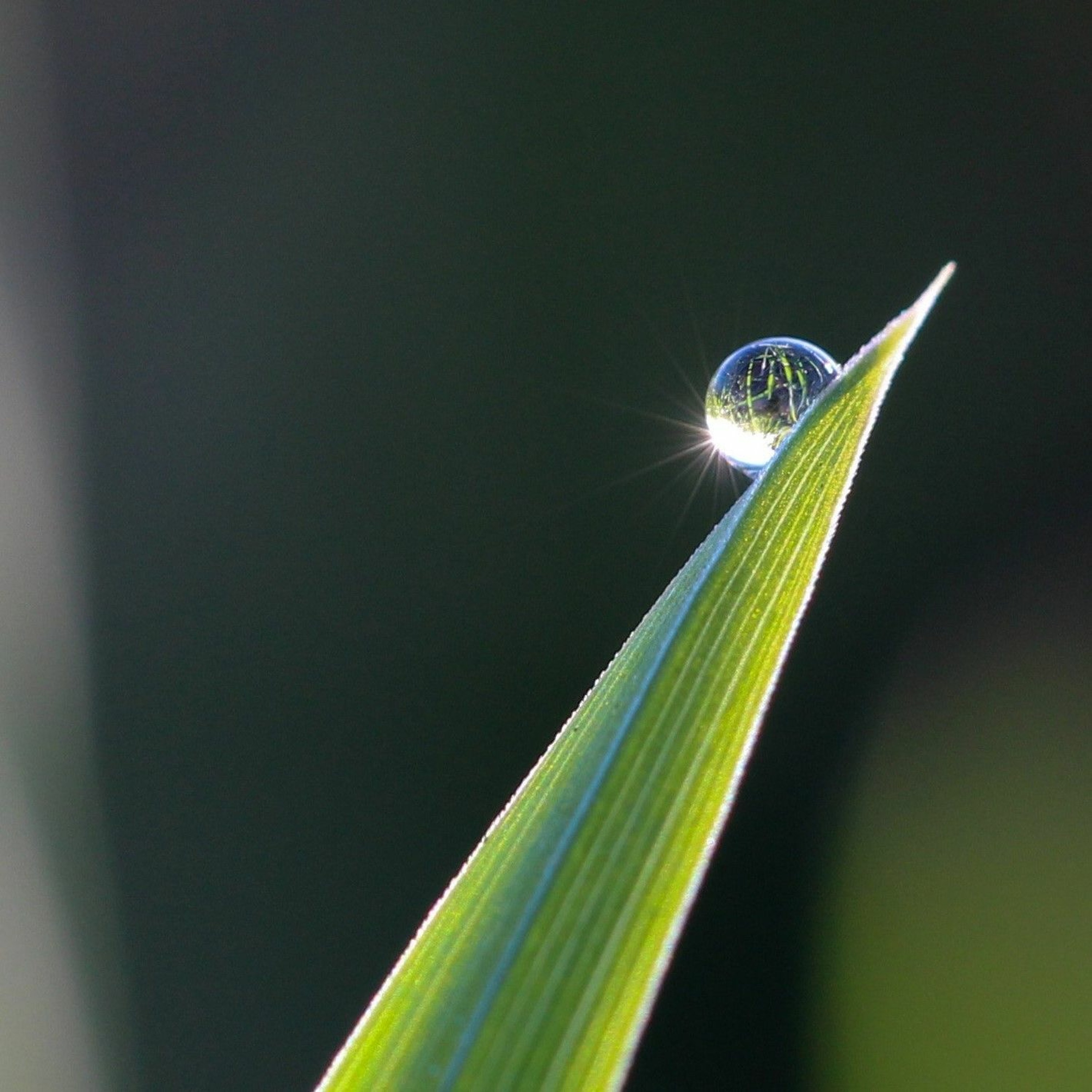 After the rain
