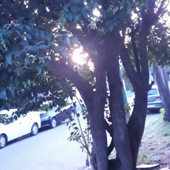 x q no puedo ser komo los demas?