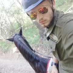 Hypersonic Apocalypseu