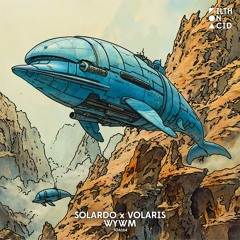 Solardo x Volaris - WYWM (Original Mix)