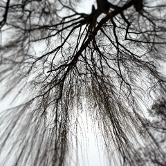 inmost