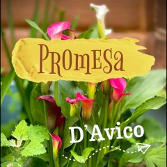 Promesa (reggae fusion)
