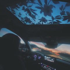Shadows on the Landscape (ft. MEGASTARLOVEKID)
