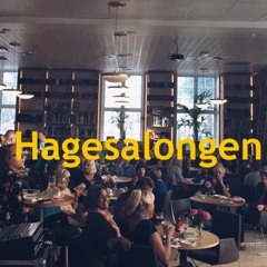 #310: Hagesalongen V – Dag Solstads litteratur