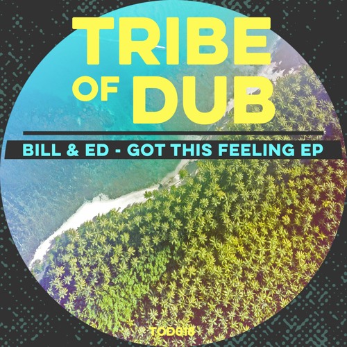 Bill & Ed - Got This Feeling EP (TOD018)