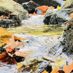Shabde Sada Basant Bhai Lakhwinder Singh Ji