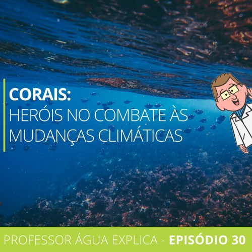 Corais: heróis no combate às mudanças climáticas