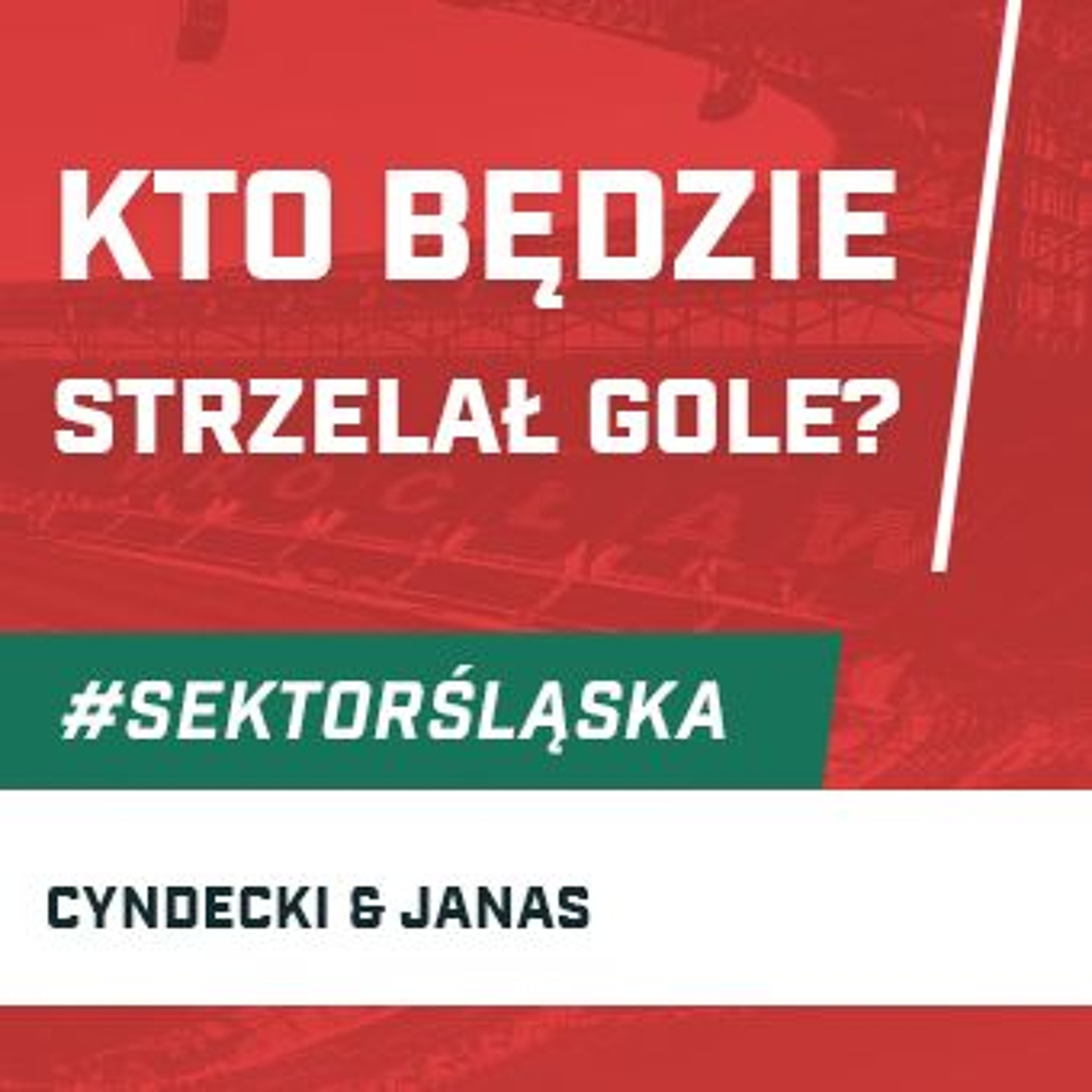 Śląsknet