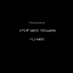 A pimp named Triggaman ft Jsiek