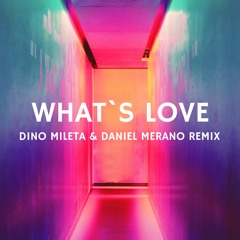 Kygo,Tina T - What´s Love 2020 (Dino Mileta & Daniel Merano Remix)
